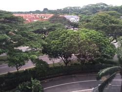 Castle Green (D26), Condominium #118957812